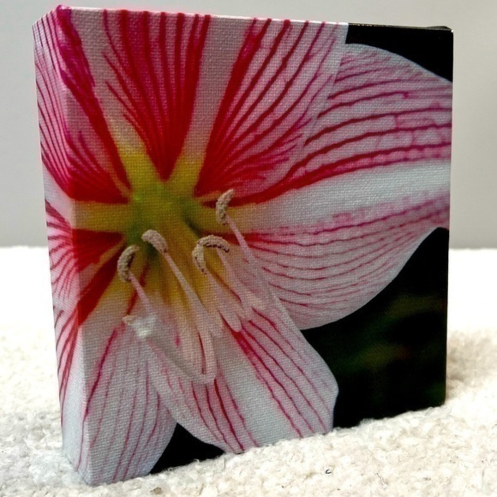 Design Ideas Floral Wall Art Hangable Canvas Print
